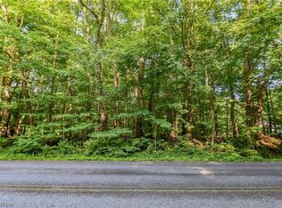 Munn Rd, Newbury, OH 44065