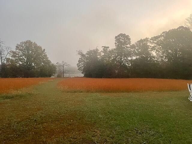 25th image of 0 New Bethel Rd