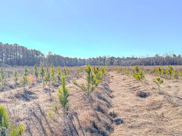 0 Rl Lee Rd #8, Statesboro, GA 30461