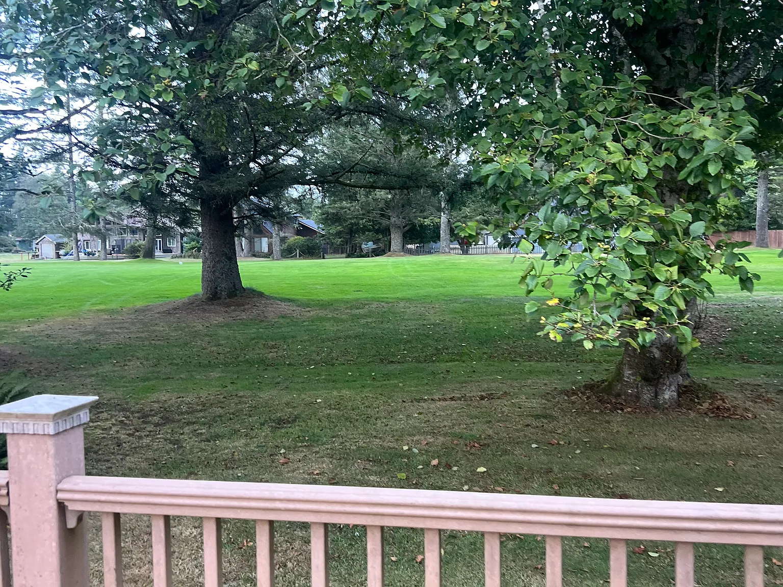 3 bed, 1762 sqft, $2,200 — Photo 3