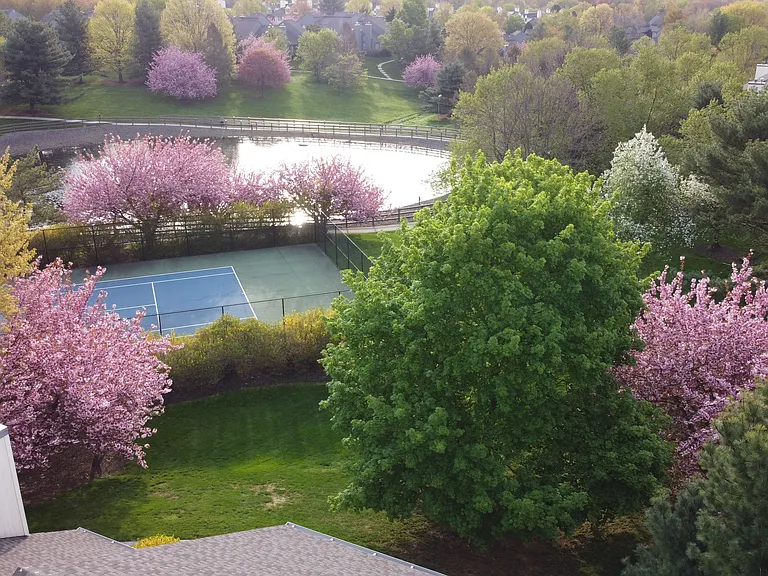 Sycamore Ct — Photo 34