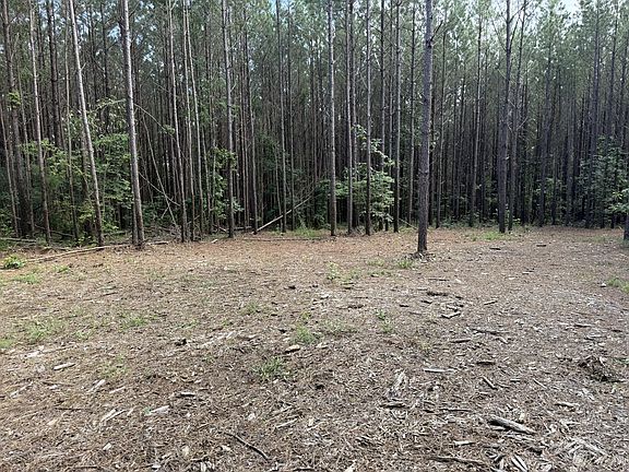2nd image of 191 Seiber Ridge Rd Lot 131