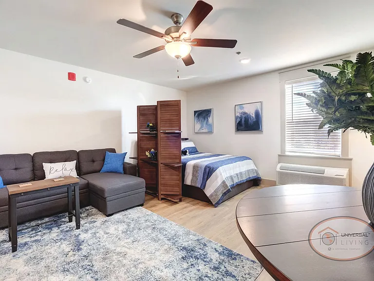 Studio Apartment - Living & Sleeping Area