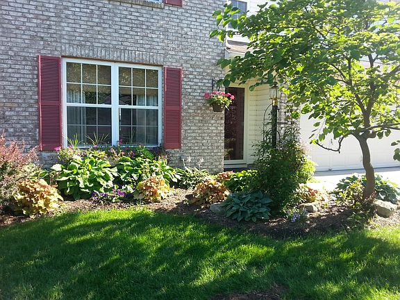 Flowers Galore in Summer!