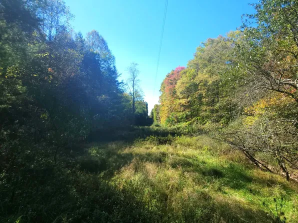 6290 Hollywood Glace Rd, Union, WV 24983