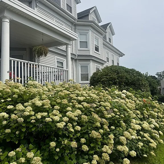 9 Evans Rd #3 — Photo 1