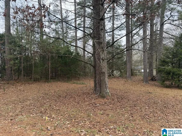 433 6th St N #17, Pell City, AL 35125