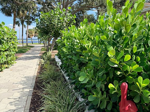 sidewalk takes you to Tampa bay