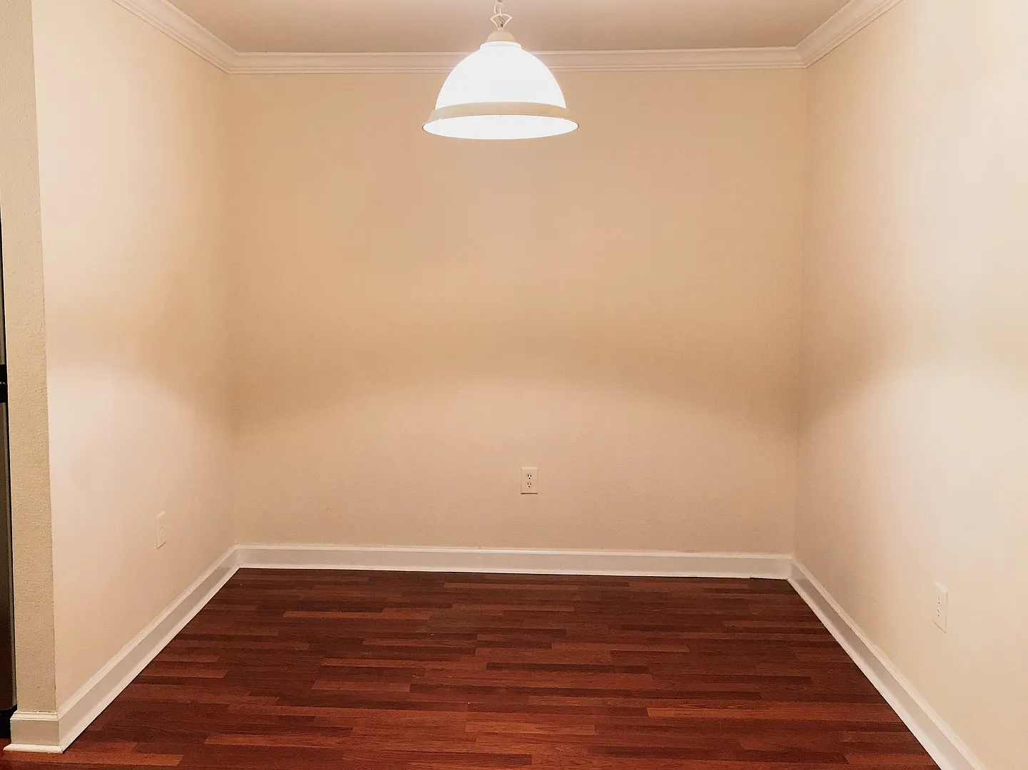 3 Bedroom, 2 Bath with Garage For Rent in New Tampa! — Photo 4