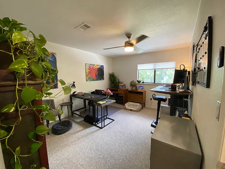Bedroom 2 - has a large walk-in closet