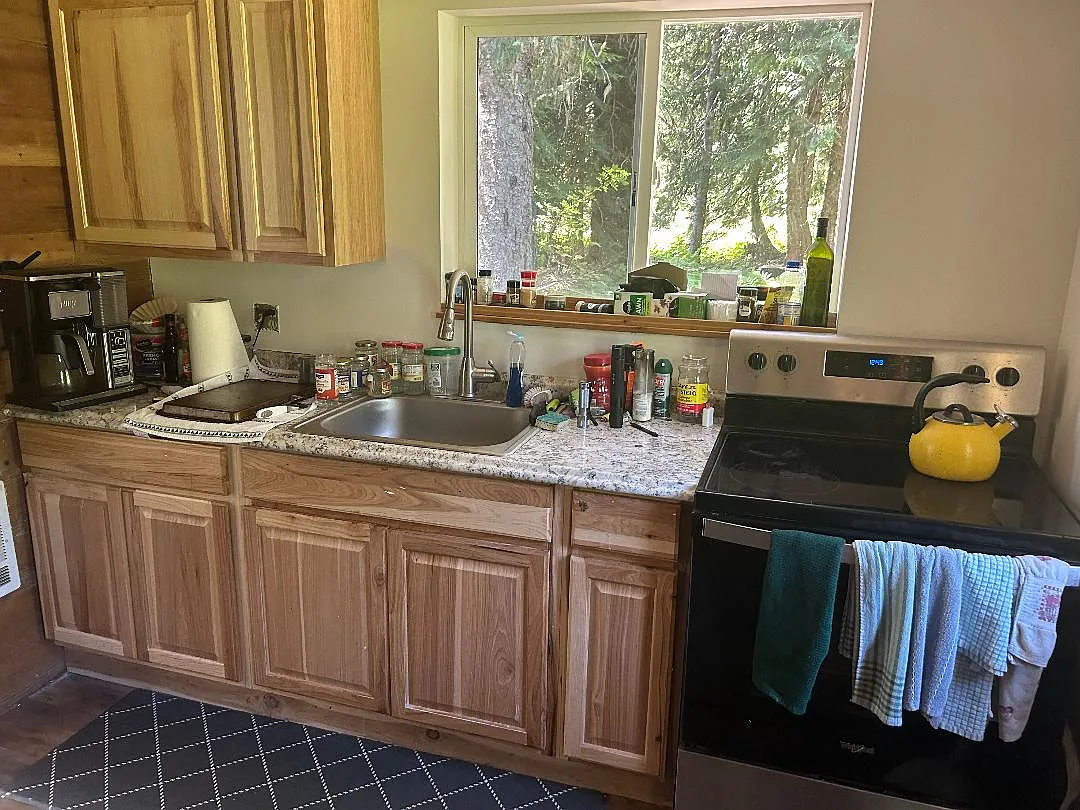 E Mineral Creek Dr, Government Camp — Photo 2