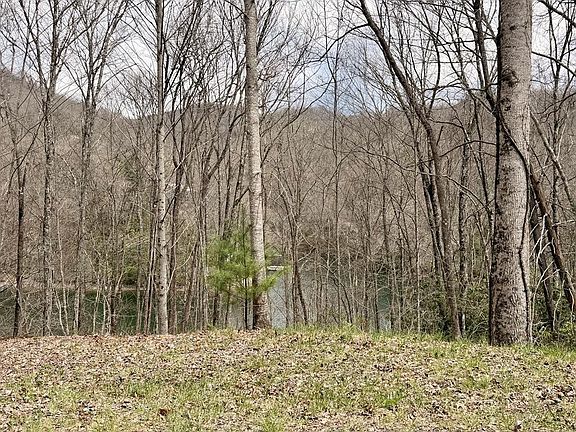 2nd image of 20-20 Rainwater Point Indian Lake Rd Lot 20