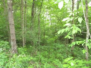 48 Echo Lake Rd, Greene, NY 13778