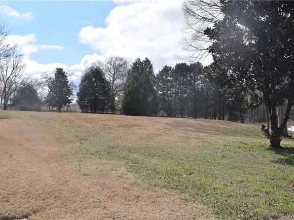 22213 Sandra Ln, Mc Calla, AL 35111