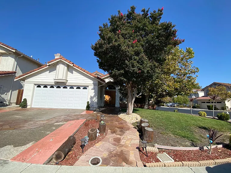 Curb View