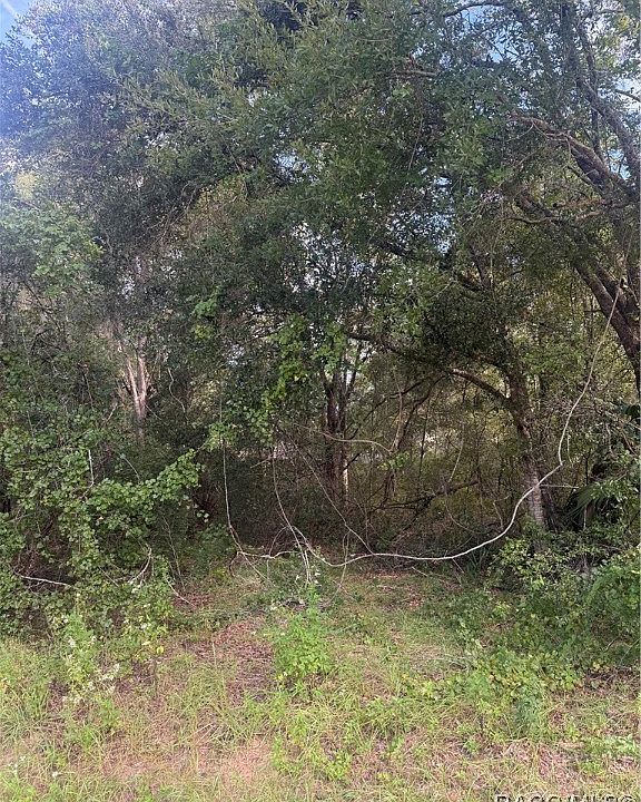 2nd image of 4087 E Dano St
