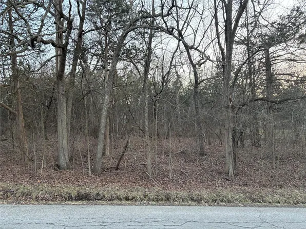 115 Summer Set Dr, De Soto, MO 63020