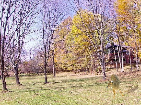 4th image of 6089 Brookshire Dr