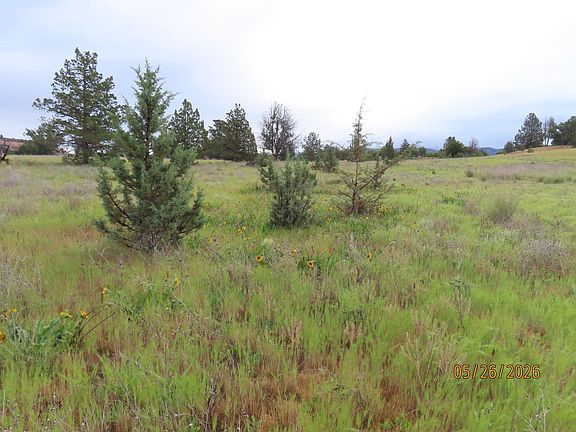 2nd image of U 5 Desavado Lot 36