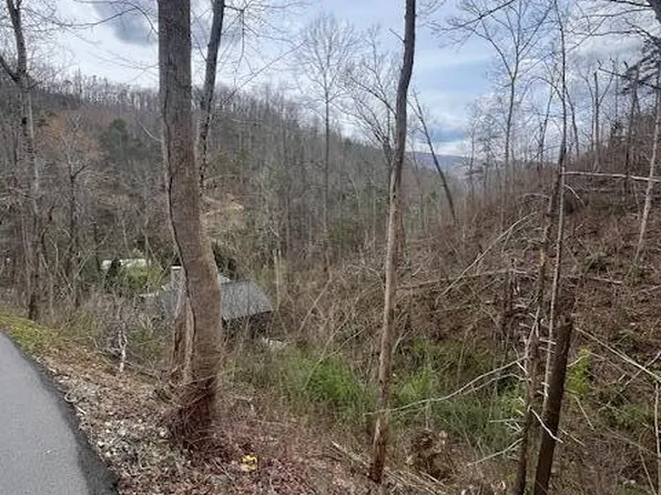 0 Loop Rd, Gatlinburg, TN 37738