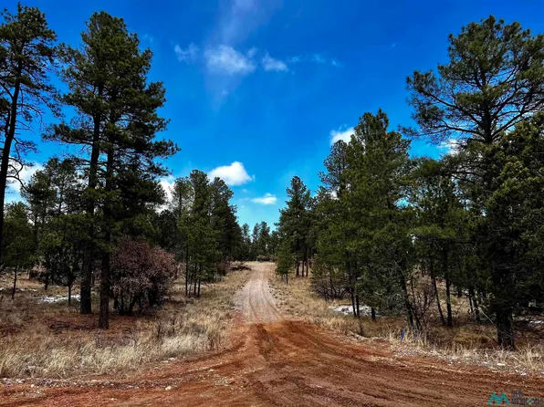 Timber Dr Lot 16, Timberon, NM 88350