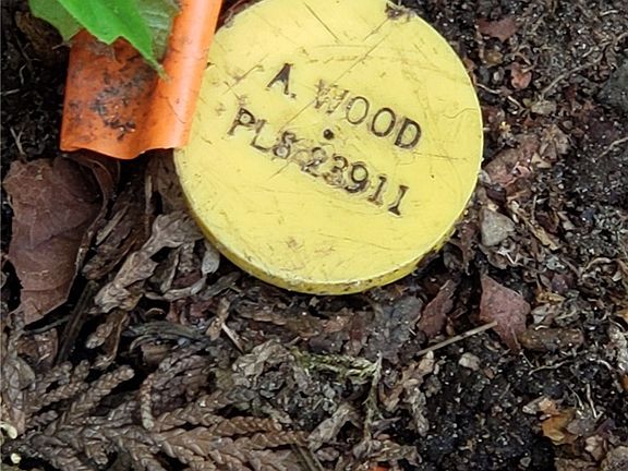 Survey stake plastic cap on northeast corner of property.