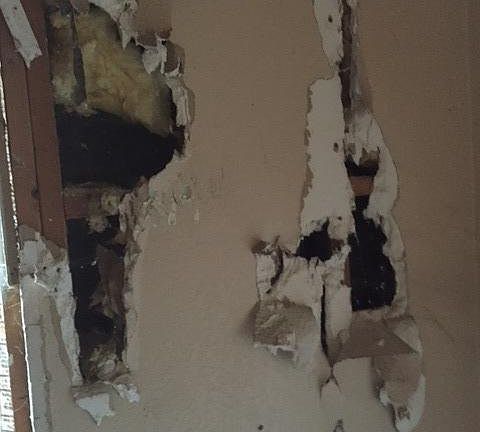 2nd image of 25 S Abbie St