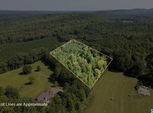 9111 Cedar Mountain Rd #9111, Pinson, AL 35126