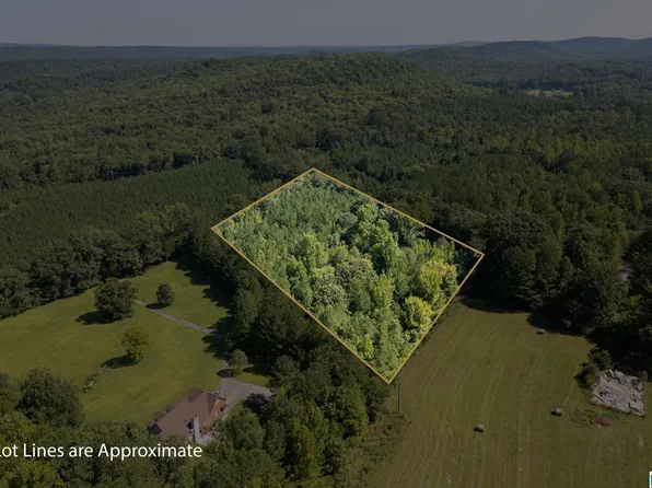 9111 Cedar Mountain Rd #9111, Pinson, AL 35126