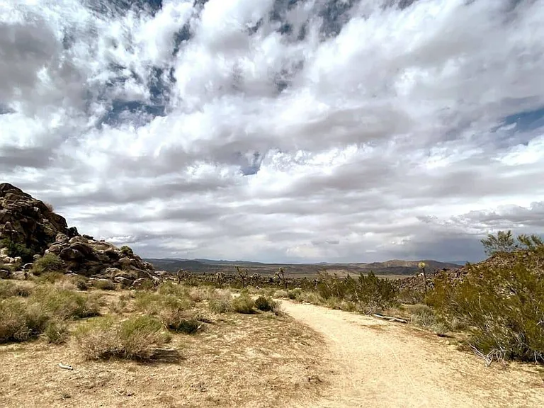 Navajo Trl — Photo 25
