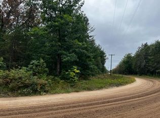 PARCEL Michway St #A, Baldwin, MI 49304