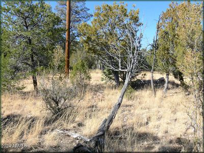 3326 Bear Heights Rd #5, Heber, AZ, 85928