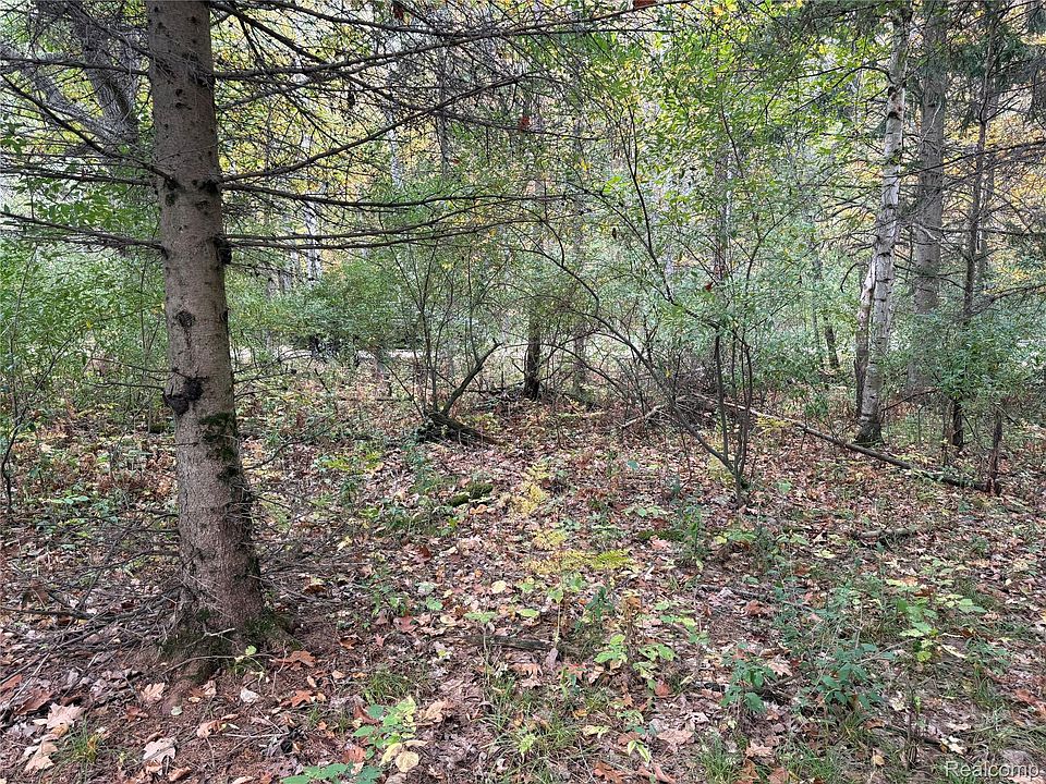 2nd image of 0 Wildwood Rd