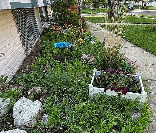 We were avid gardeners.