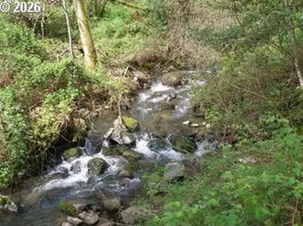460 NW Kanaka Creek Rd, Stevenson, WA 98648