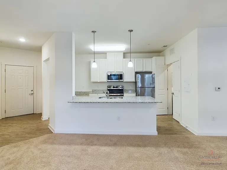 Mystic Bluff Apartments — Photo 132