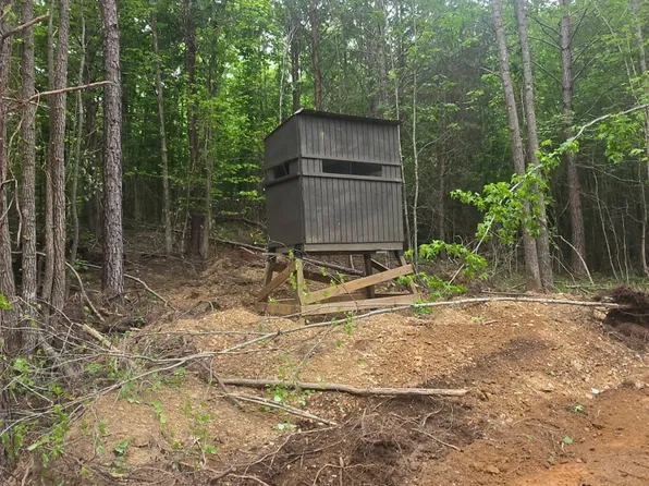 0 County Road 66, Eldridge, AL 35554