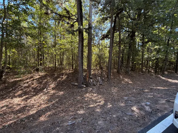 0 Old Plain Dealing Rd, Benton, LA 71101