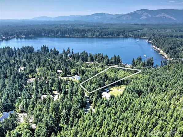 221 W Little Nahwatzel Drive, Shelton, WA 98584