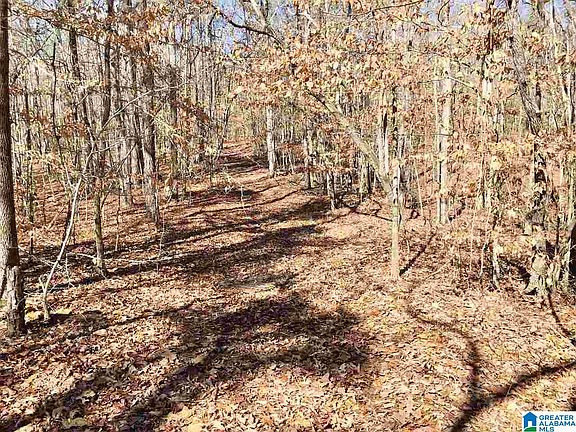3rd image of / County Road / #71