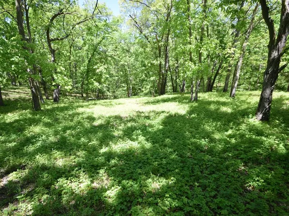 17019 Spring Beauty Dr, Unionville, MO 63565
