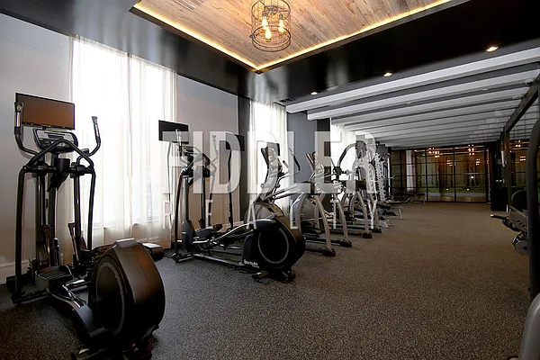 Rented by Fiddler Realty | media 50