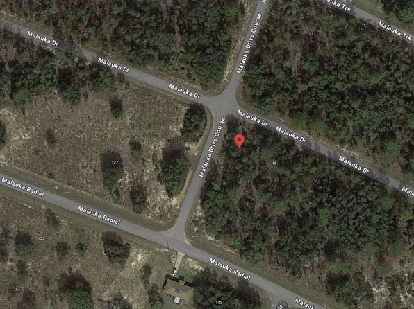 (undisclosed Address), Ocklawaha, FL 32179