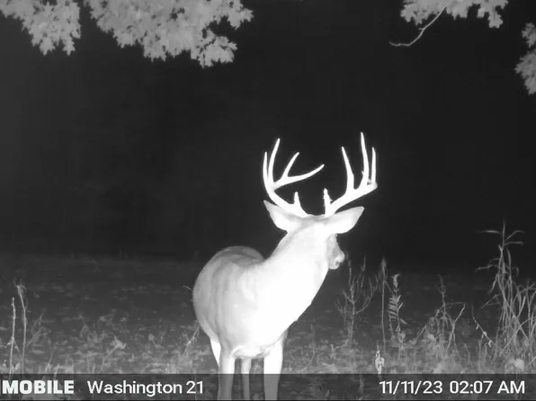 Huntington Point Rd Lot 1&2, Greenville, MS 38703