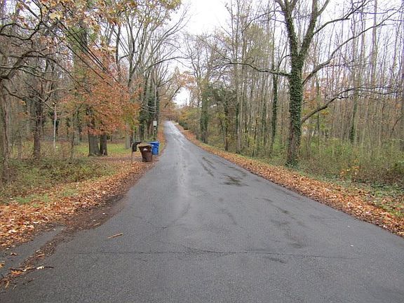 Exterior Neighborhood (street photo)