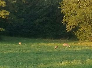 1414 Old Bear Rd, Royal, AR 71968