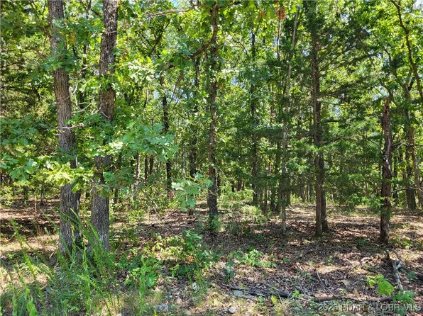 Trinchera Rd #3944 & 3945, Edwards, MO 65326