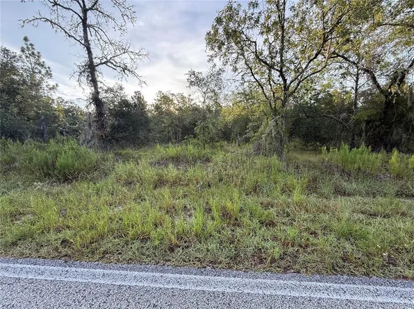 3297 SW Breezy Point Dr Lot 17, Dunnellon, FL 34431