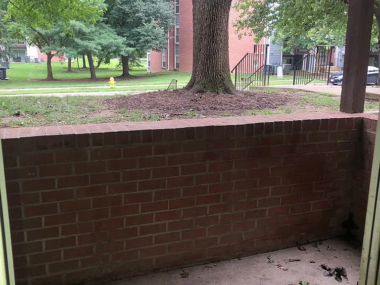 206 Water Fountain Ct #101 — Photo 33