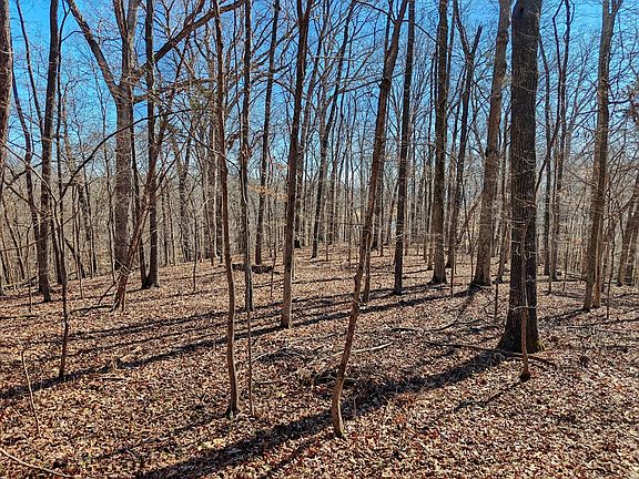 3rd image of 0 Sykes Branch Rd